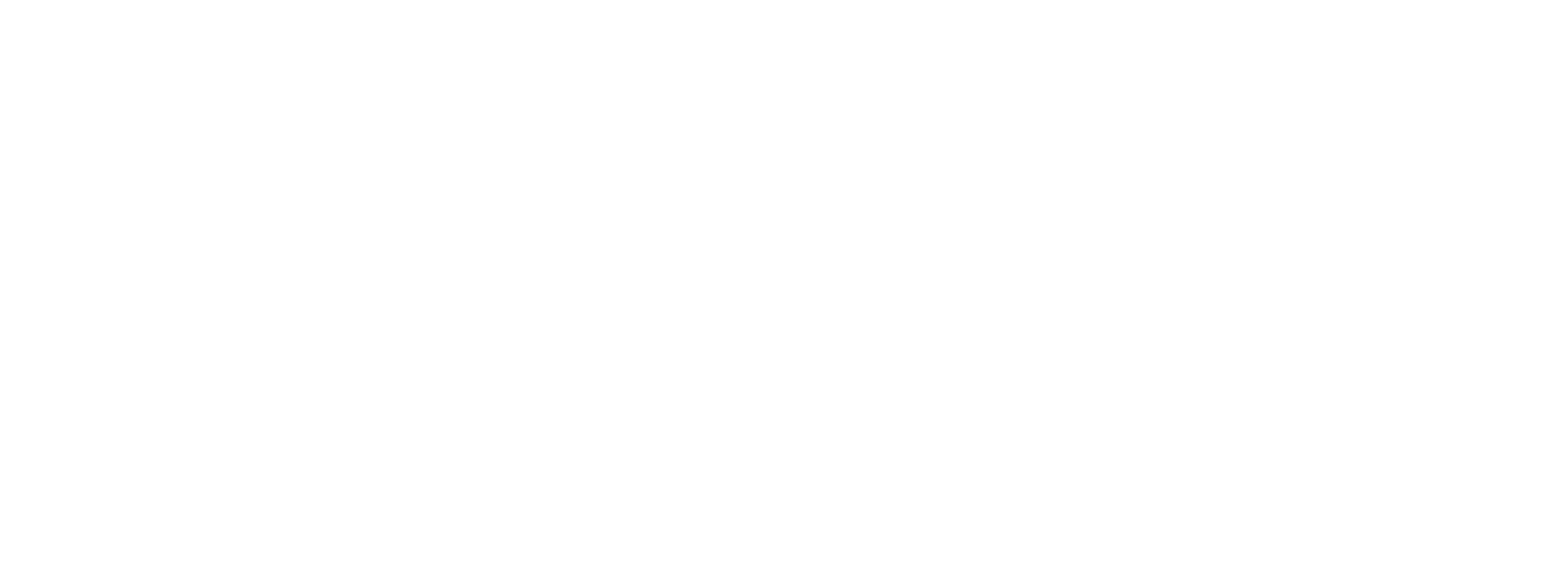 DZEN LOGISTIC